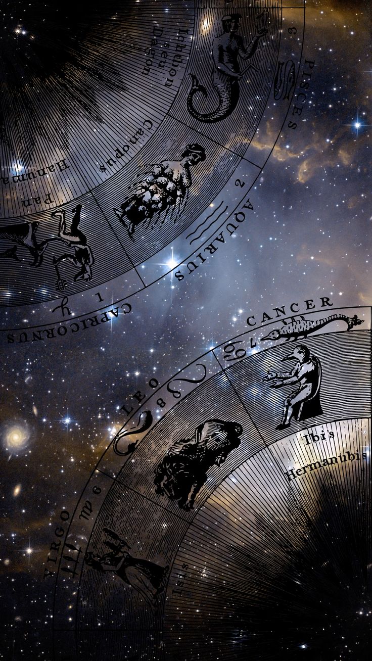 Life Astrology Reading